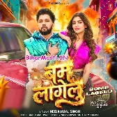 Ae Mor Kareja Ho Sachahu Me Bam Lagelu ()