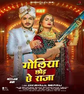 Lela Hathwa Me Bandukiya Goliya Chhoda Ae Raja