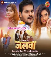 Pagal Bani Tohara La Hum